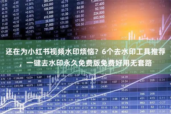 还在为小红书视频水印烦恼？6个去水印工具推荐，一键去水印永久免费版免费好用无套路