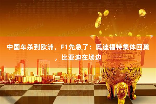 中国车杀到欧洲，F1先急了：奥迪福特集体回巢，比亚迪在场边