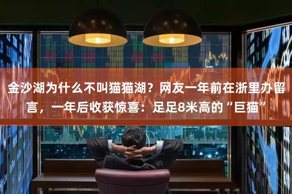 金沙湖为什么不叫猫猫湖？网友一年前在浙里办留言，一年后收获惊喜：足足8米高的“巨猫”