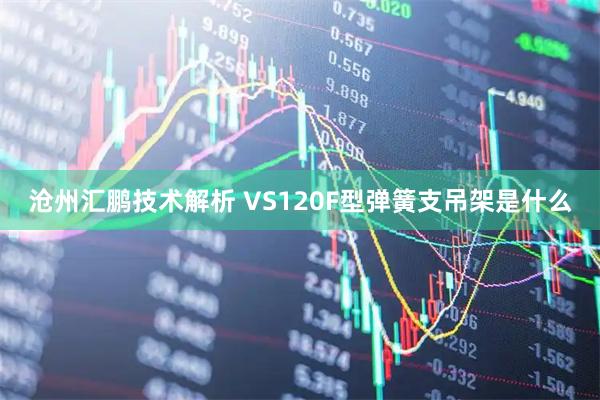 沧州汇鹏技术解析 VS120F型弹簧支吊架是什么