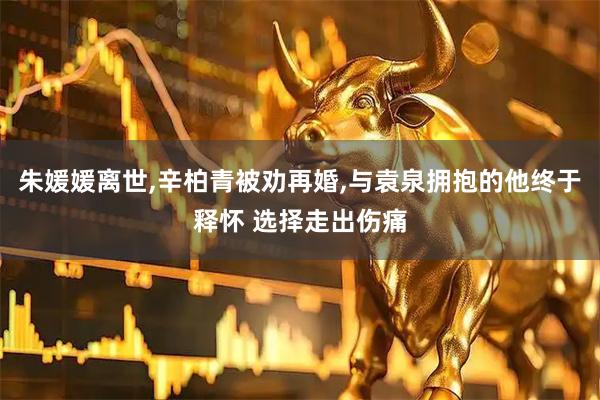 朱媛媛离世,辛柏青被劝再婚,与袁泉拥抱的他终于释怀 选择走出伤痛