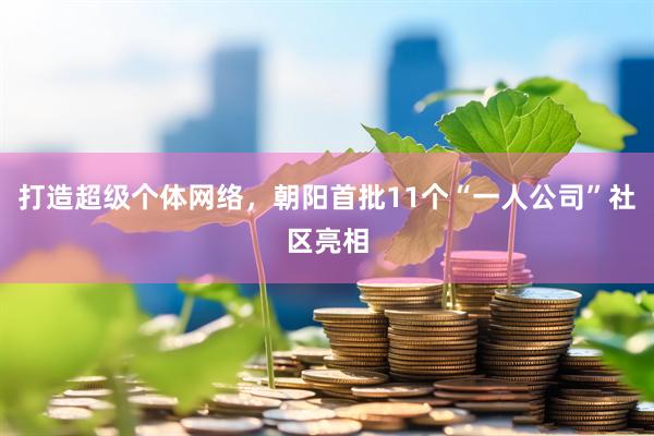 打造超级个体网络，朝阳首批11个“一人公司”社区亮相